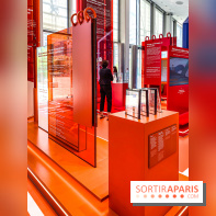 Saint-Gobain Skate Game