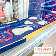 Saint-Gobain Skate Game