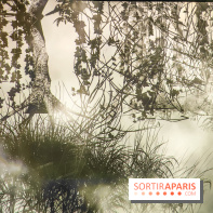 Decoding Korea : l'art numérique et contemporain coréen se dévoile au Grand Palais Immersif - IMG20240725151450