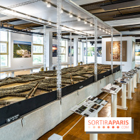 L’Ancienne Poste du Louvre à Versailles -  A7C9710