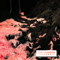 JO paris 2024 : Les tenues de scène de Lady Gaga, Aya Nakamura et Céline Dion exposées à la Galerie Dior  - image00004