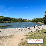 Le parc Georges-Valbon de la Courneuve - nos photos - image00022