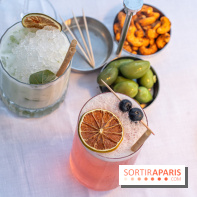 La terrasse dans un jardin avec vue Tour Eiffel du Marguerite 1606 au Domaine de la Reine Margot -  A7C1343