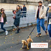Paris Sausage Walk 2024 : la marche des teckels de retour dans la capitale - image00015
