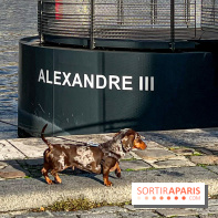 Paris Sausage Walk 2024 : la marche des teckels de retour dans la capitale - image00032