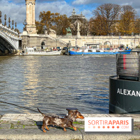 Paris Sausage Walk 2024 : la marche des teckels de retour dans la capitale