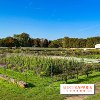 Les Saveurs du Potager du Roi à Versailles : marché de fruits & légumes, expositions et animations