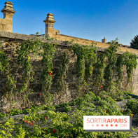 Les Saveurs du Potager du Roi à Versailles : marché de fruits & légumes, expositions et animations