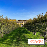 Les Saveurs du Potager du Roi à Versailles : marché de fruits & légumes, expositions et animations - image00030