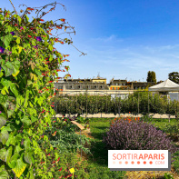 Les Saveurs du Potager du Roi à Versailles : marché de fruits & légumes, expositions et animations