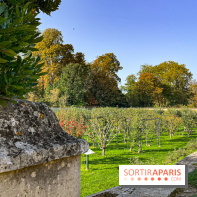 Les Saveurs du Potager du Roi à Versailles : marché de fruits & légumes, expositions et animations - image00053