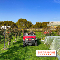 Les Saveurs du Potager du Roi à Versailles : marché de fruits & légumes, expositions et animations - image00060