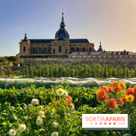 Les Saveurs du Potager du Roi à Versailles : marché de fruits & légumes, expositions et animations