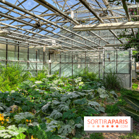 Les Saveurs du Potager du Roi à Versailles : marché de fruits & légumes, expositions et animations