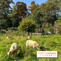 Les Saveurs du Potager du Roi à Versailles : marché de fruits & légumes, expositions et animations - image00079