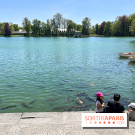Etang aux carpes et barques - nos photos