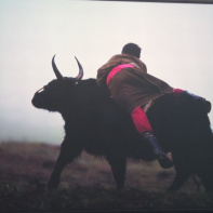 Esprit Nomade vu par l'XPeria X10 de Sony Ericsson