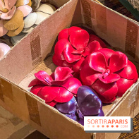 Ultramod, la plus ancienne mercerie de Paris - image00040