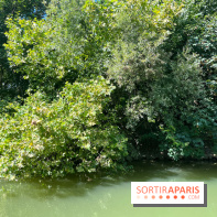 Marin d'eau douce Boulogne - nos photos