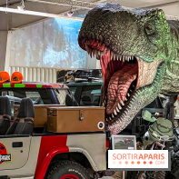 Musée Pop Central - voitures de cinéma et arcades vintage