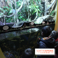 L'Arche des petites bêtes au Zoo de Thoiry