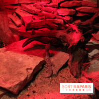 L'Arche des petites bêtes au Zoo de Thoiry