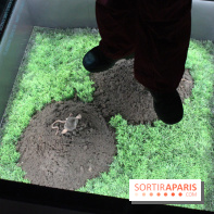 L'Arche des petites bêtes au Zoo de Thoiry