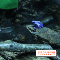 L'Arche des petites bêtes au Zoo de Thoiry