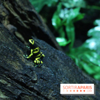 L'Arche des petites bêtes au Zoo de Thoiry