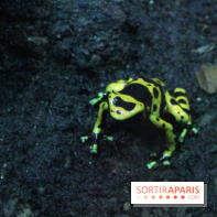L'Arche des petites bêtes au Zoo de Thoiry
