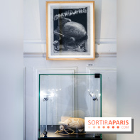 Renaud, des mots et des images, nos photos de l'expo