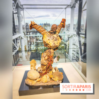 Le surréalisme : l'exposition exceptionnelle qui célèbre les 100 ans du mouvement au Centre Pompidou - IMG20240903164028