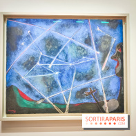 Le surréalisme : l'exposition exceptionnelle qui célèbre les 100 ans du mouvement au Centre Pompidou - IMG20240903165056