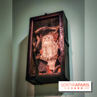 Le surréalisme : l'exposition exceptionnelle qui célèbre les 100 ans du mouvement au Centre Pompidou - IMG20240903164212