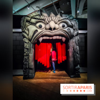 Le surréalisme : l'exposition exceptionnelle qui célèbre les 100 ans du mouvement au Centre Pompidou - IMG20240903162023