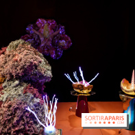 “Forêts astrales” : nos photos de l'exposition gratuite à voir à l'Institut suédois à Paris - IMG 5920