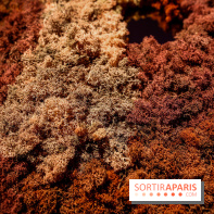 “Forêts astrales” : nos photos de l'exposition gratuite à voir à l'Institut suédois à Paris - IMG 5963