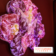 “Forêts astrales” : nos photos de l'exposition gratuite à voir à l'Institut suédois à Paris - IMG 5968