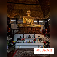 Asian Street Festival - les photos