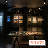 Exposition Malcolm de Chazal à la Halle Saint-Pierre - DSC 0992