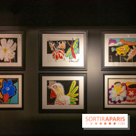 Exposition Malcolm de Chazal à la Halle Saint-Pierre - DSC 0994