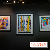 Exposition Malcolm de Chazal à la Halle Saint-Pierre - DSC 0995