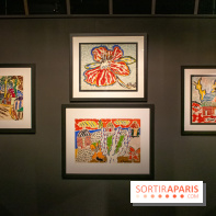 Exposition Malcolm de Chazal à la Halle Saint-Pierre - DSC 0998