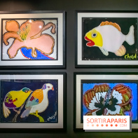 Exposition Malcolm de Chazal à la Halle Saint-Pierre - DSC 1002