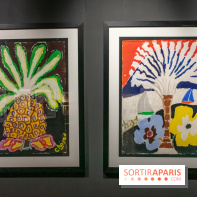 Exposition Malcolm de Chazal à la Halle Saint-Pierre - DSC 1005