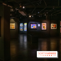 Exposition Malcolm de Chazal à la Halle Saint-Pierre - DSC 1017