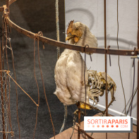 Exposition L'Electromécanomaniaque de Gilbert Peyre à la Halle Saint Pierre - DSC 1033