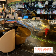 Moon Fusion - Décoration