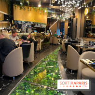 Moon Fusion - Décoration