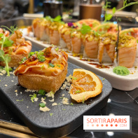 Moon Fusion - Tofu frit saumon